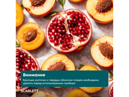 Соковыжималка Scarlett SC-JE50S67